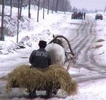 Собака на сене 