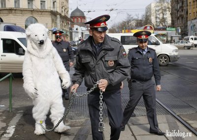 Странный сон Павла Воли