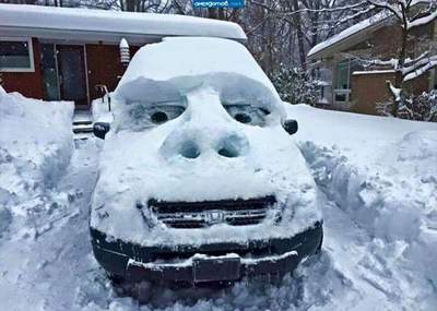 Снежные автобот существует