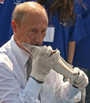 В.В.Путин исполняет желание Золотой рыбке.