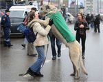 Светлая юность собаки Баскервилей.