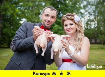 Новая  свадебная традиция. Кто  из  подружек невесты  поймает курицу, та сама курица.