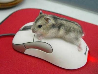 какая у мышки подмышка!