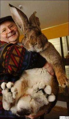 Даже 50 лет спустя Кристофер Робин и Кролик были очень дружны... 