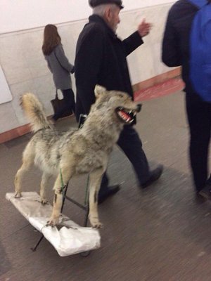 тамбовский волк тебе чемодан