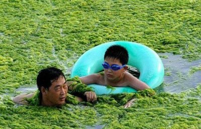 Я же обещал, что мы будем купаться в зелени
