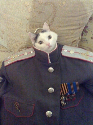 Котовский.     