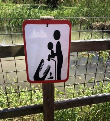 Пугать детей крокодилами здесь.