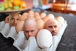 Британские яйцеголовые опять выставили себя курам на смех
