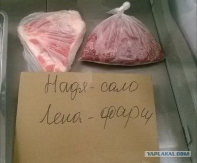 Надя-сало,
Лена-фарш,
Это холодильник наш,
Он доступен нам одним,
Мы продукты в нем храним.