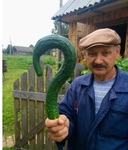 Петрович любит задавать вопросы: "Как жить без овощей, Единороссы?!"