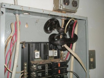 ЖЭК принял меры против махинаторов с электроэнергией