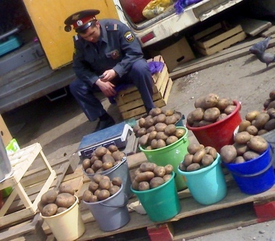 Мент сажает картошку