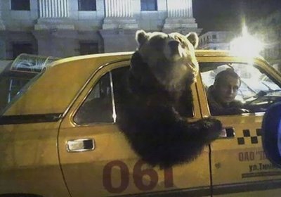 Новое такси с прокатом русских стереотипов