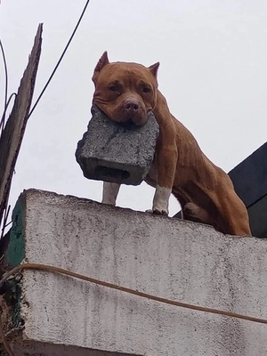  А тем, кто держит свой камень за пазухой, Ох и трудно в деревне у нас!