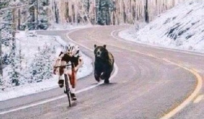 Это фэйк, потому что медведь бежит без водки и балалайки