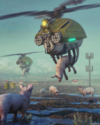 Летающий свинопас