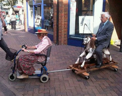Катание на лошадях для пожилых