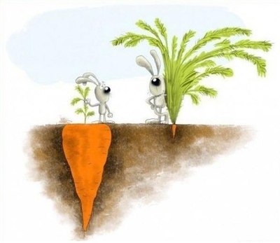 Первое это морковь, а второе - любовь. Отсюда вывод- любовь приходит и уходит, а морковь- это первое,второе и даже компот...