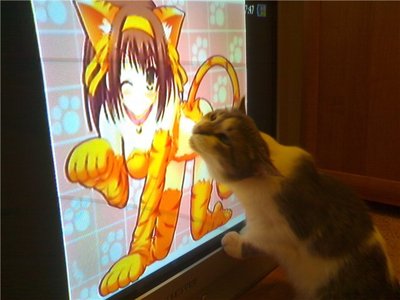 котский порноканал