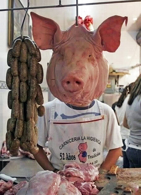 Вырос вот из сына свин, открыл свиномагазин.