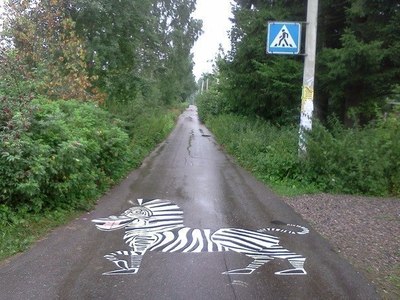 Эту дорогу переходила настоящая зебра