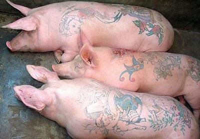 если вместо грязи свинке подложить картину рембрандта, то можно получить весьма интересный результат.

свиньи в законе.

Три поросенка, прочтение пьесы в стиле в 90-х.