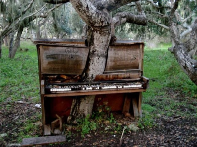 По первым задумкам, во время песни Д. Билана из рояля должно было вылезать...дерево!