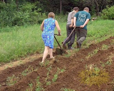 Откуда парнишка, с деревни вестимо, родители пашут, а я убежал.