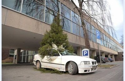 Говорила мне мама не паркуй в Беларуси машину надолго, там батька даже асфальт удобряет.