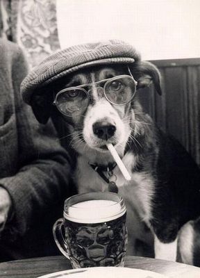 Однажды Шерлоку Холмсу пришлось переодеться в собаку Баскервилей.