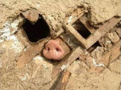 Свинья везде найдет грязь