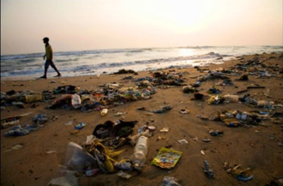 Общественный пляж! Сюда сносят весь мусор с частного!!!