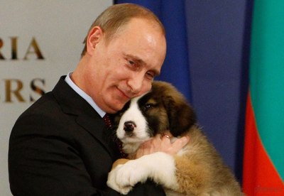 Медведев любит представлять себя на этом фото вместо собаки.